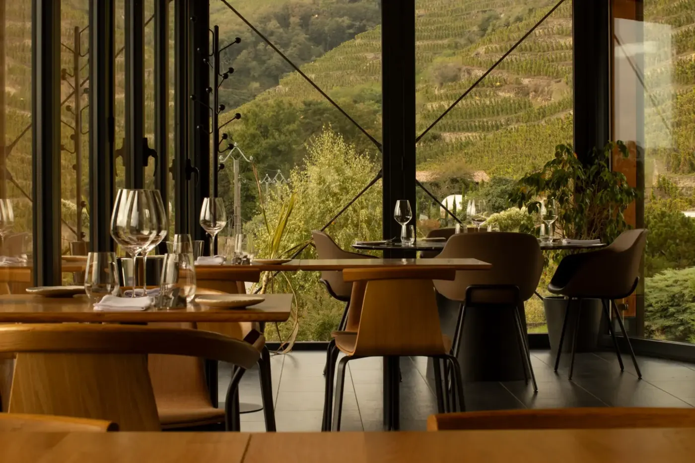 The estate's reception room overlooking the vines